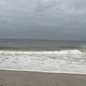 Meet your Posher, Edith